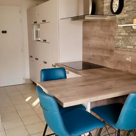 Appartement Grand Mezzanine Calme Climatise Parking Prive 700 M