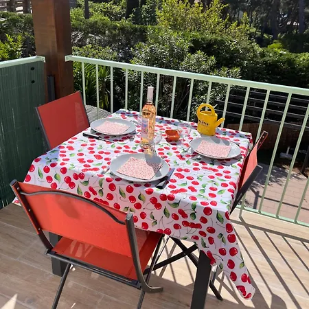 Appartement Grand Mezzanine Calme Climatise Parking Prive 700 M *